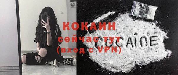 дурь Осташков