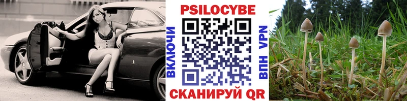 Псилоцибиновые грибы Psilocybe  Пыть-Ях 
