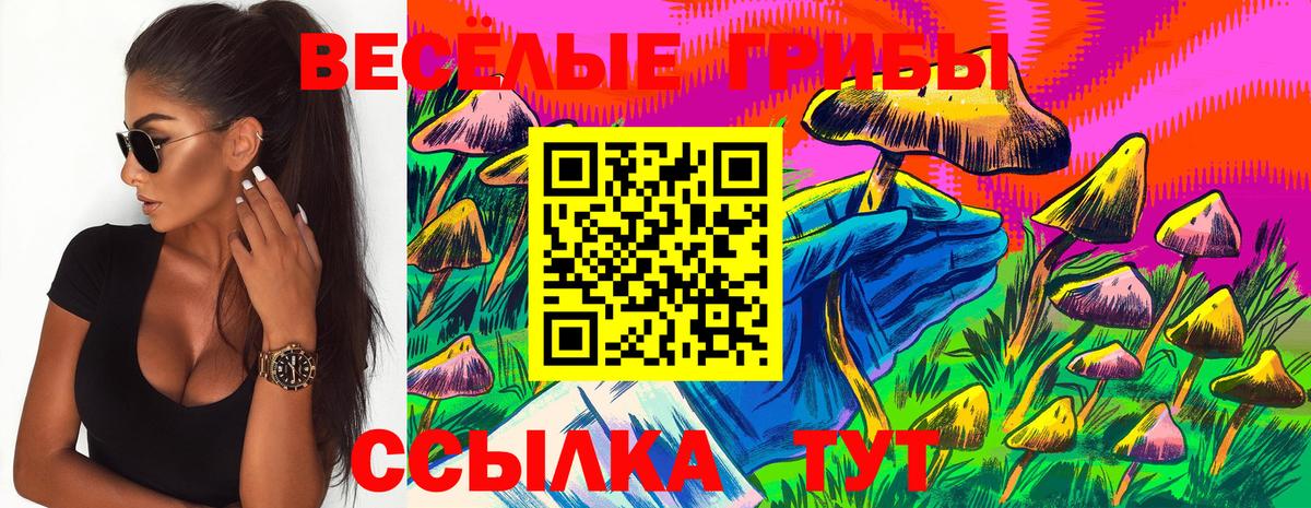 Пыть-Ях  Псилоцибиновые грибы MAGIC MUSHROOMS  Галлюциногенные грибы GOLDEN TEACHER  Вход с VPN 