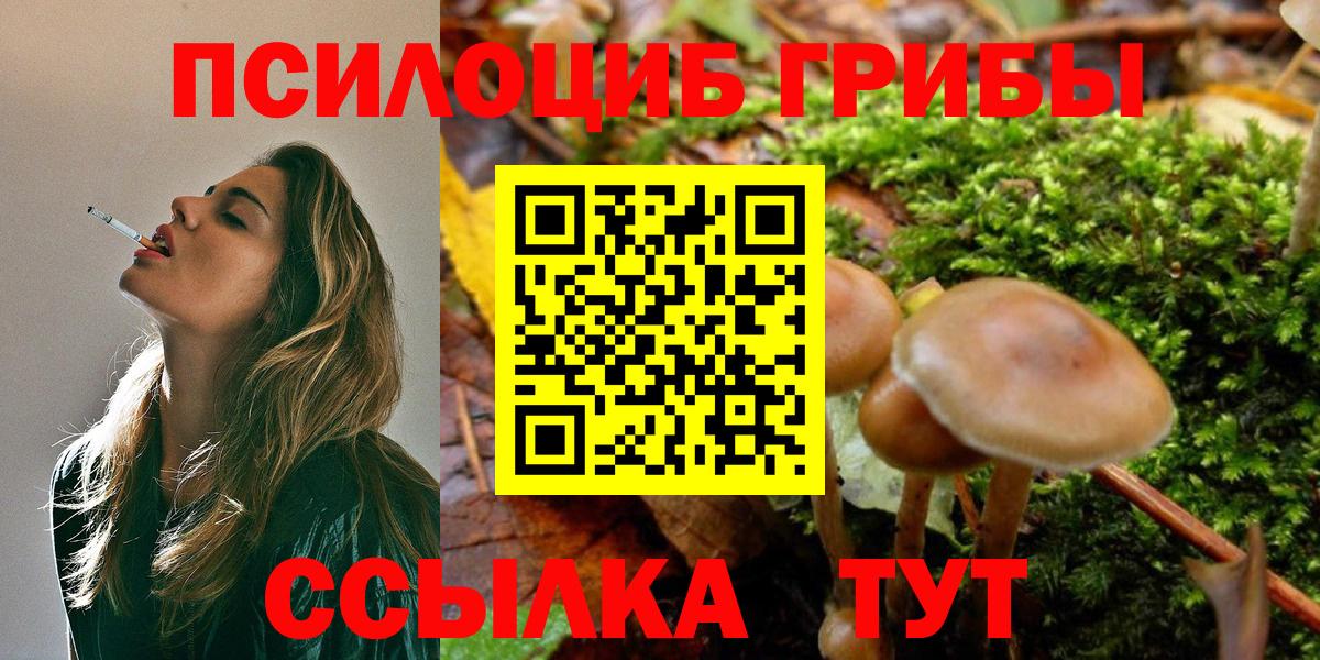 Галлюциногенные грибы Psilocybine cubensis  Пыть-Ях  Галлюциногенные грибы Magic Shrooms 